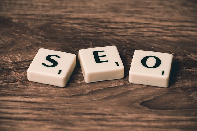 1752230792554385.jpg seo-758264_640.jpg