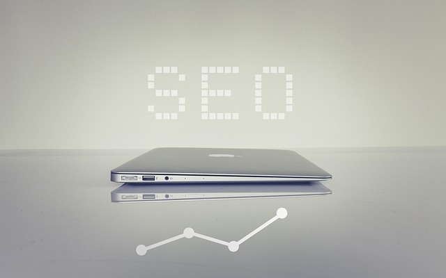 1752230902515698.jpg seo-6183542_640.jpg